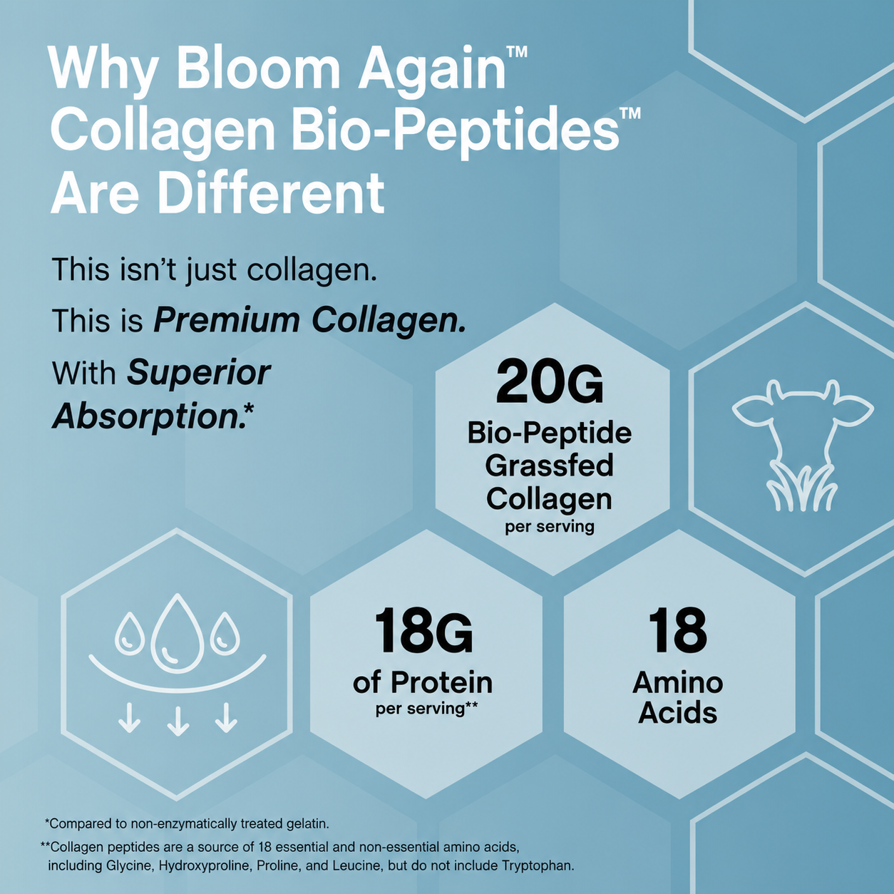 Bloom Again Collagen Bio-Peptides